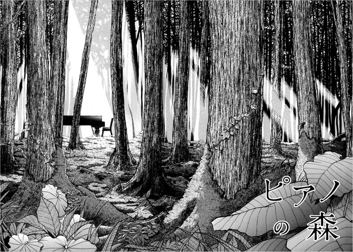 琴之森漫画下载
