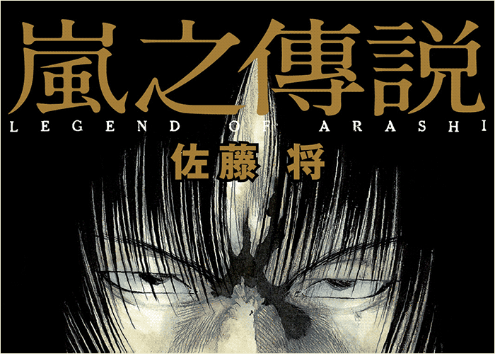 岚之传说漫画下载