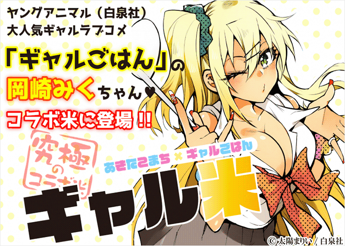 辣妹饭漫画下载